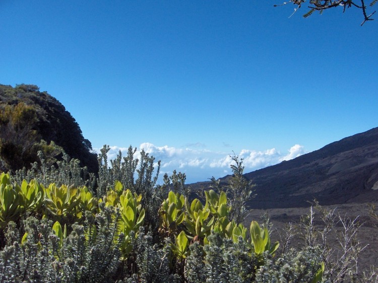 Fonds d'cran Voyages : Afrique La Runion Autour du Piton de la Fournaise