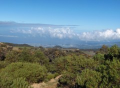 Fonds d'cran Voyages : Afrique De Saint Louis  la Plaine des Caffres