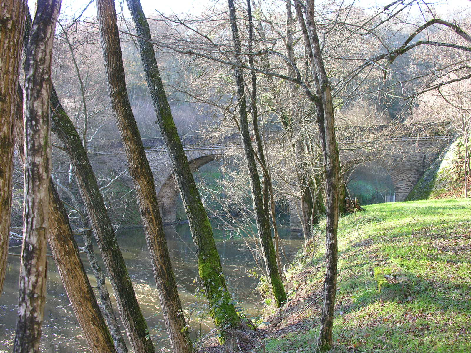 Fonds d'cran Nature Arbres - Forts 