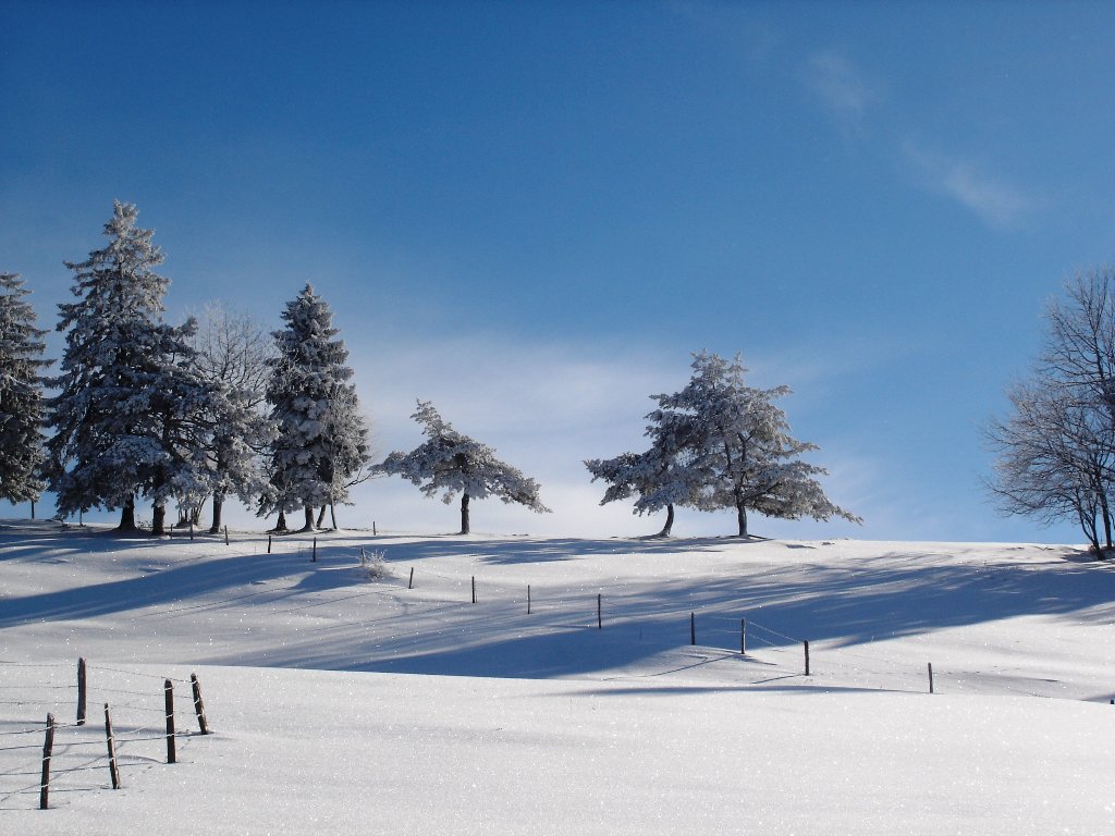 Fonds d'cran Nature Saisons - Hiver 