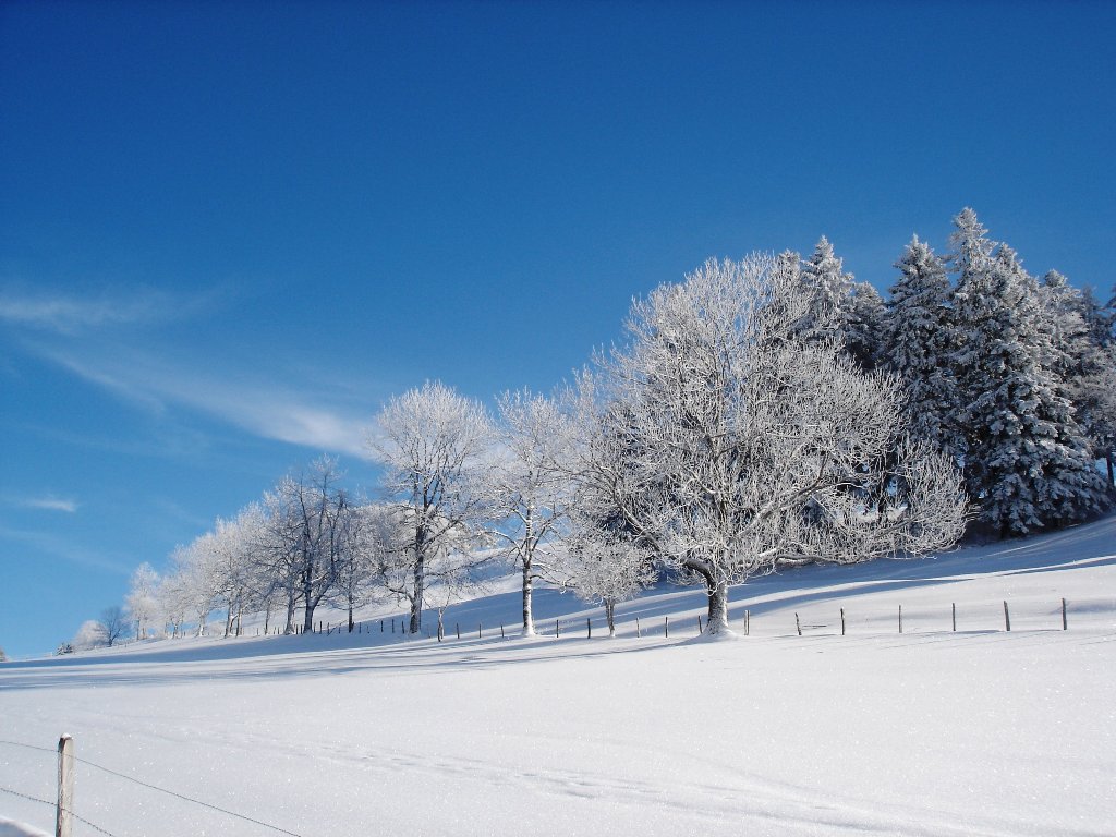 Fonds d'cran Nature Saisons - Hiver 