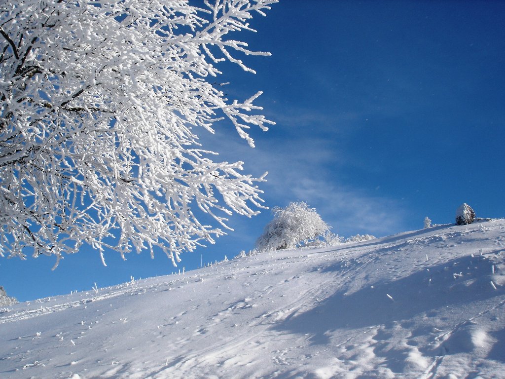 Wallpapers Nature Saisons - Winter 