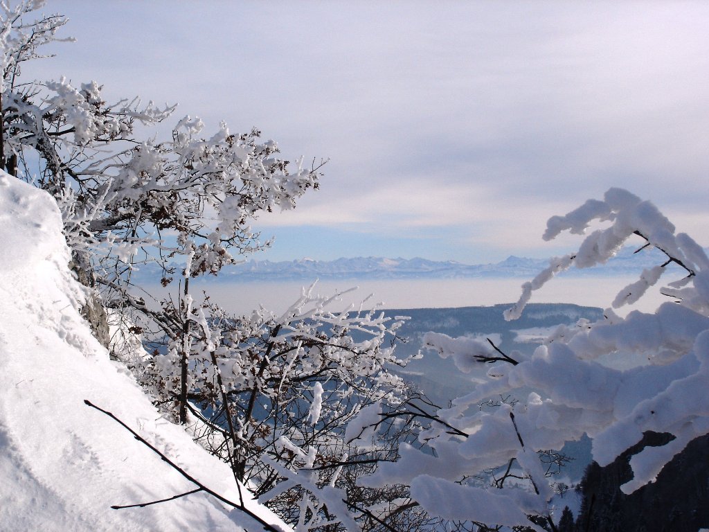 Fonds d'cran Nature Saisons - Hiver 