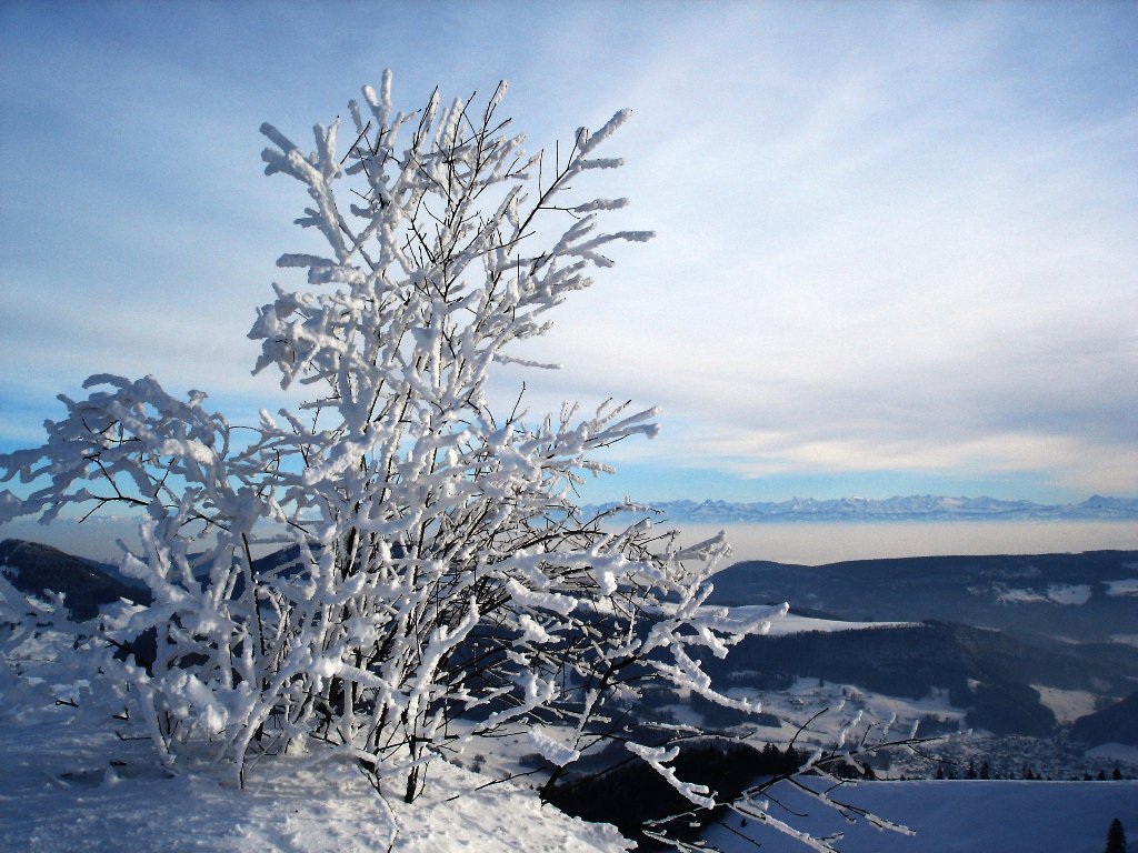 Fonds d'cran Nature Saisons - Hiver 