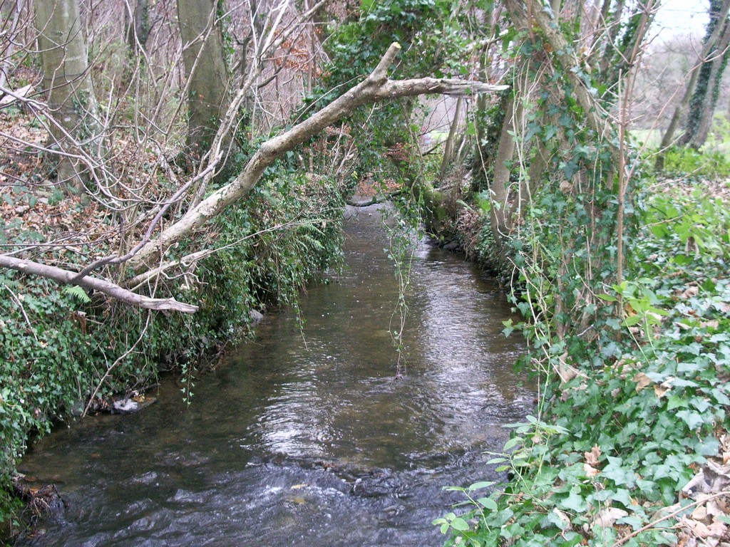 Fonds d'cran Nature Fleuves - Rivires - Torrents cours d eau