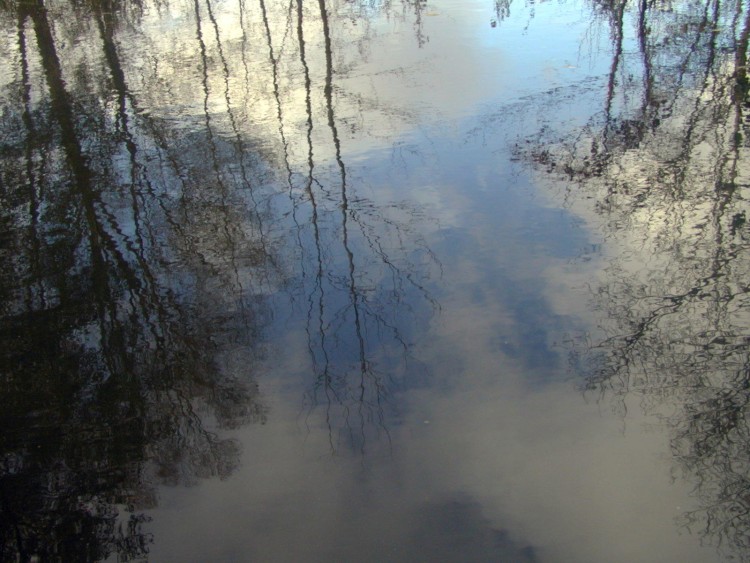 Wallpapers Nature Water - Reflection Reflets