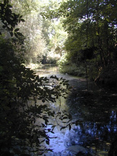 Fonds d'cran Nature Fleuves - Rivires - Torrents Le Fusain