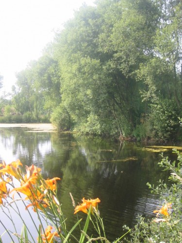 Fonds d'cran Nature Lacs - Etangs Marcages en pays breton 2