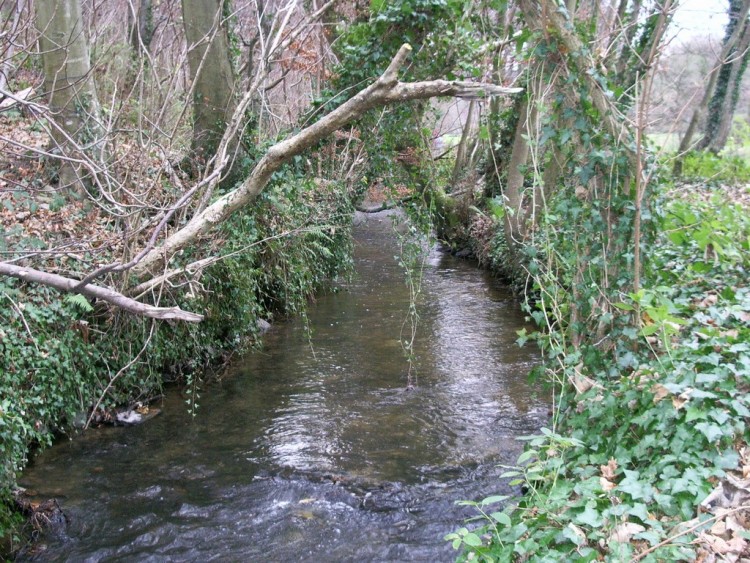 Fonds d'cran Nature Fleuves - Rivires - Torrents cours d eau