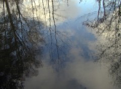 Wallpapers Nature Reflets