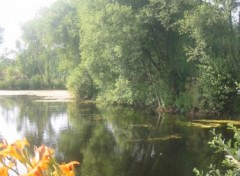 Fonds d'cran Nature Marcages en pays breton 2