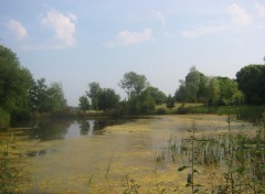 Fonds d'cran Nature Marcages en pays breton 3