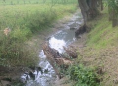 Fonds d'cran Nature La Somme  200m de sa source