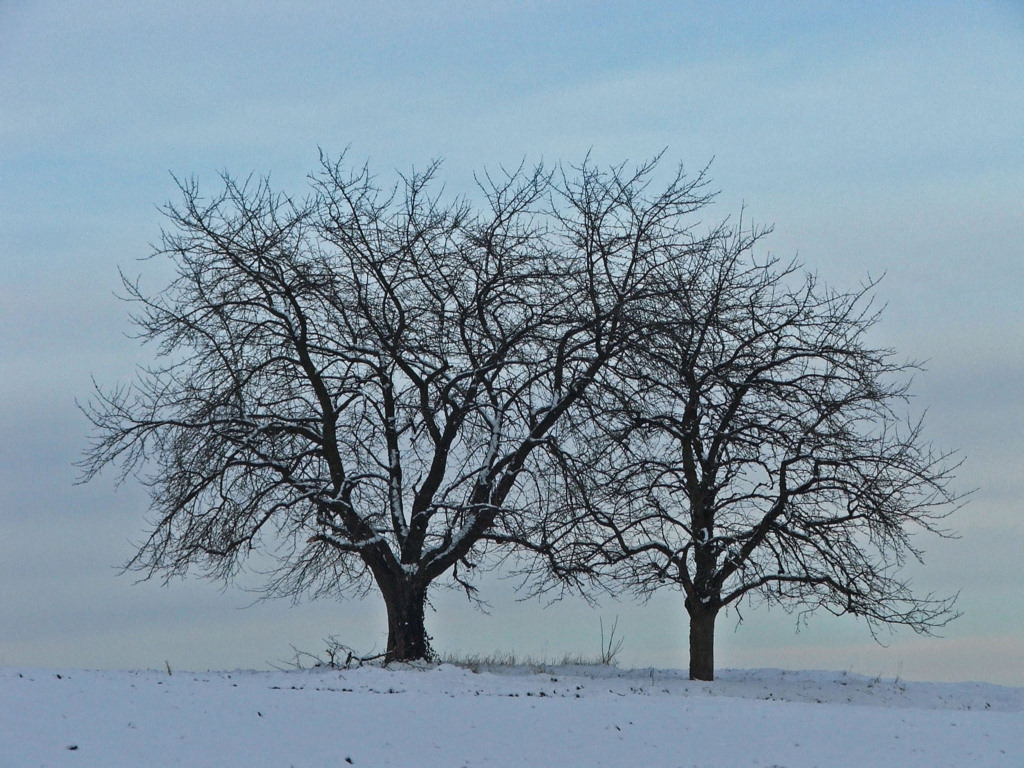 Fonds d'cran Nature Saisons - Hiver Saison d'hiver