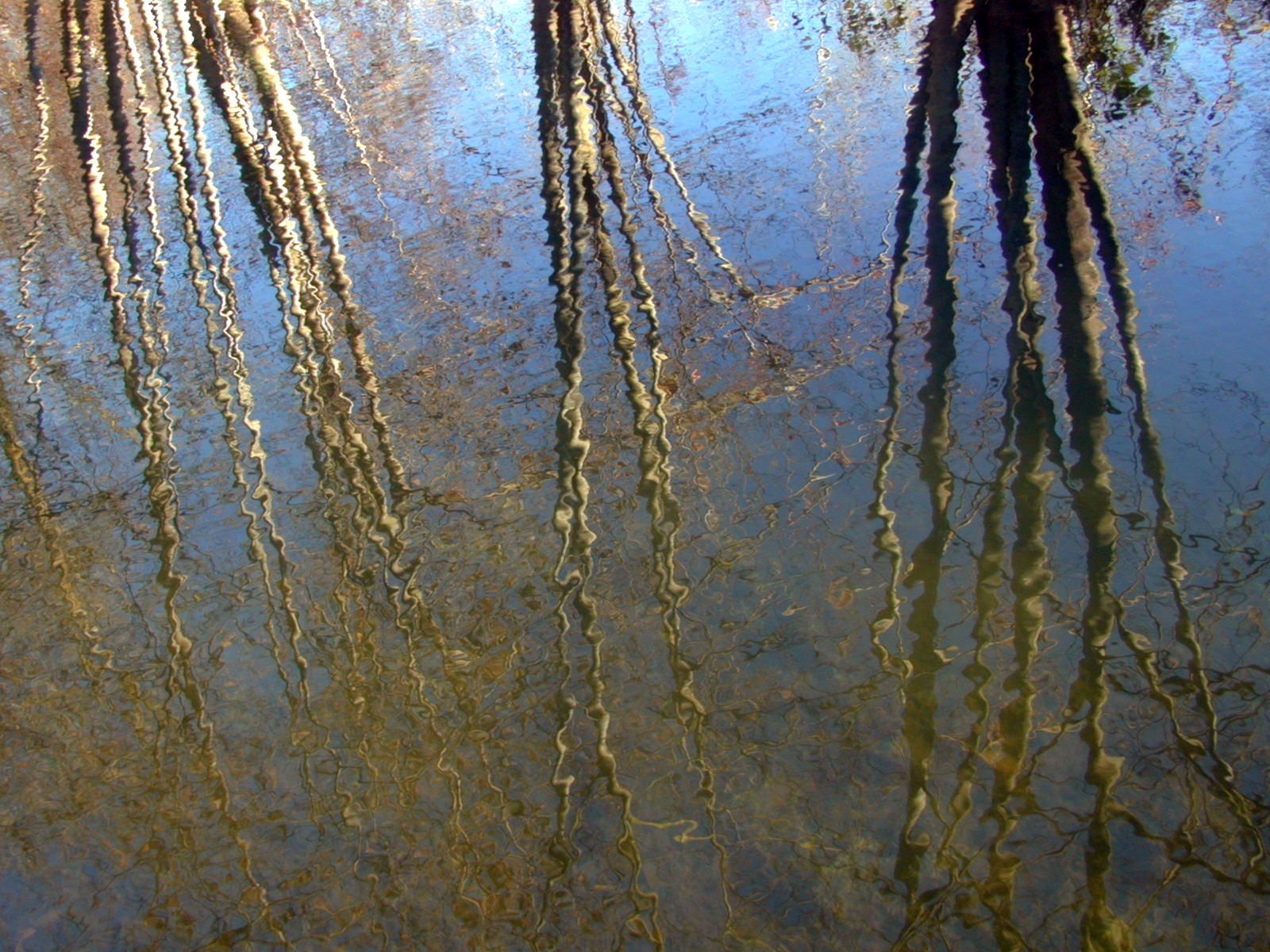 Wallpapers Nature Water - Reflection Reflets