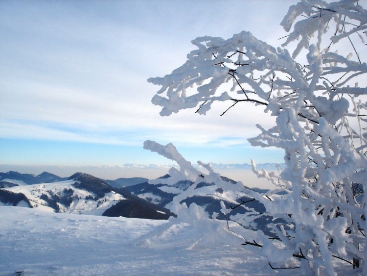 Fonds d'cran Nature Saisons - Hiver Wallpaper N126242