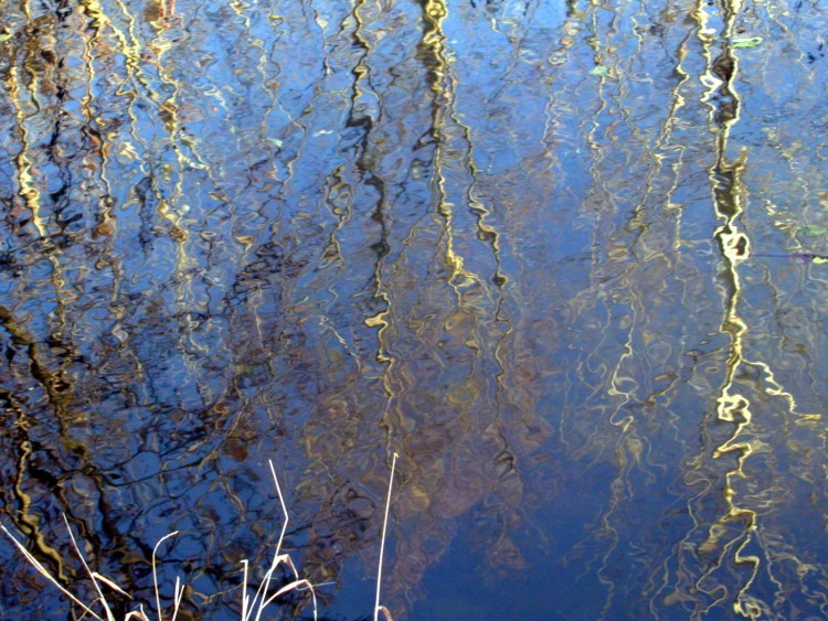 Wallpapers Nature Water - Reflection Reflets