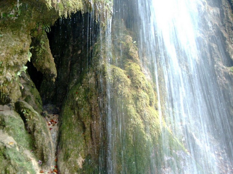 Fonds d'cran Nature Cascades - Chutes Cheile Nerei_Cascada Beusnita