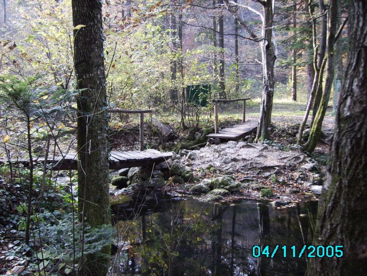 Fonds d'cran Nature Arbres - Forts Cheile Nerei_Ochiul Beului