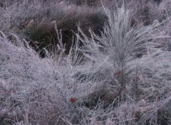 Fonds d'cran Nature Image sans titre N126291