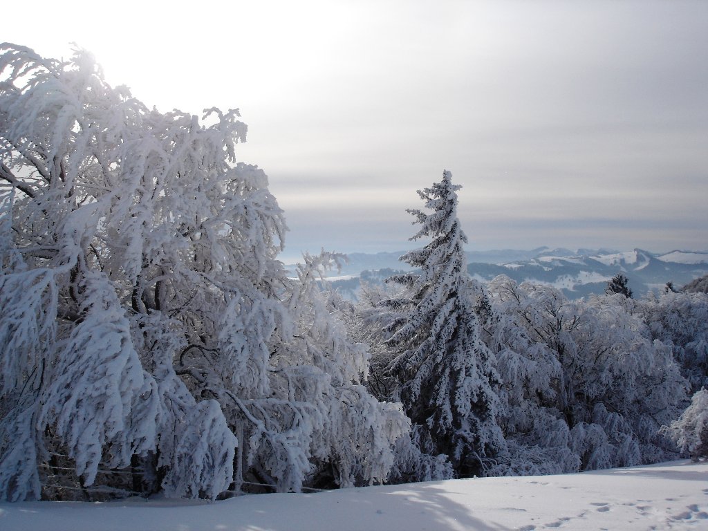 Wallpapers Nature Saisons - Winter 