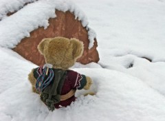 Wallpapers Objects Petit Ours montagnard...