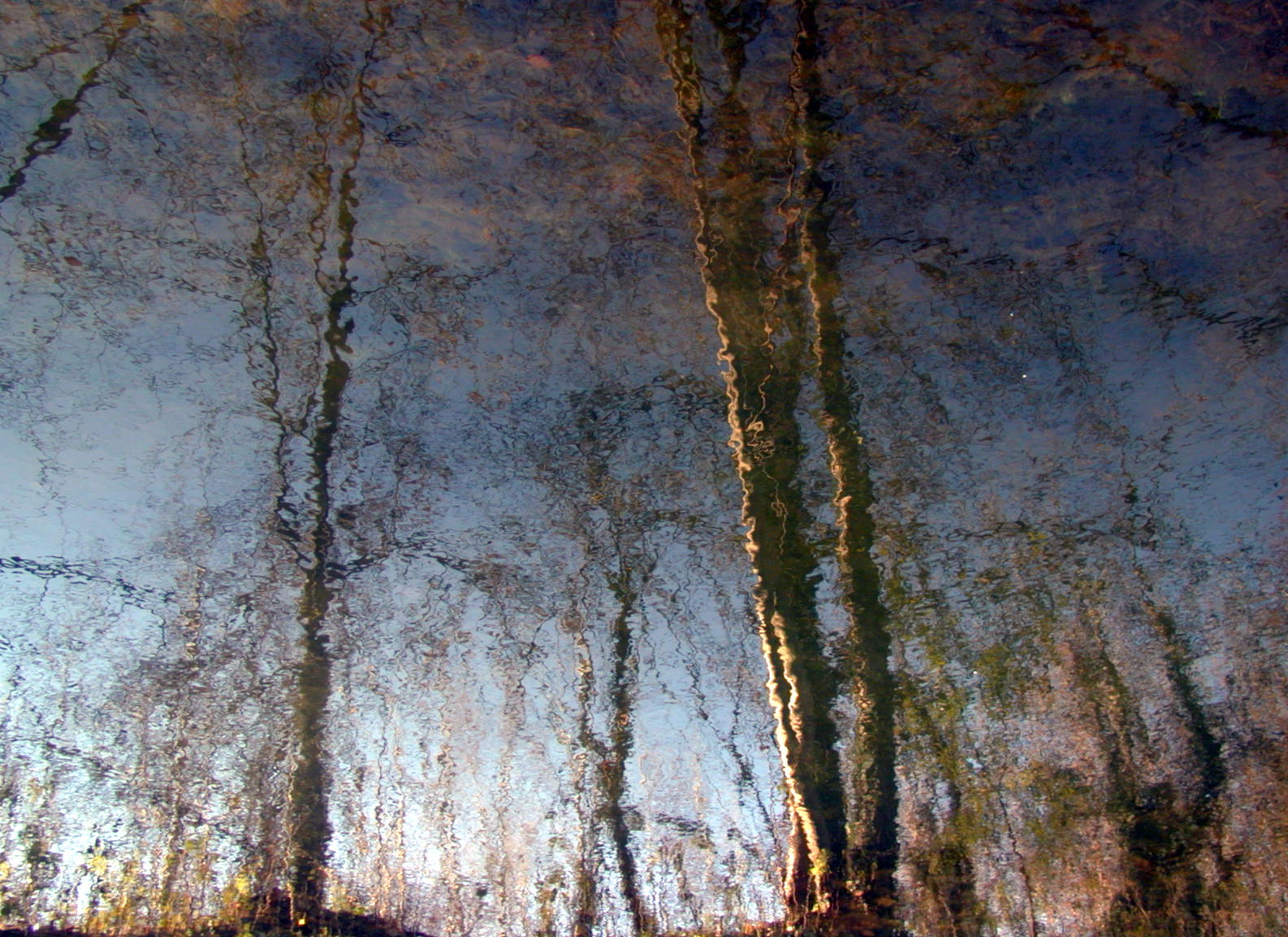 Wallpapers Nature Water - Reflection Reflets