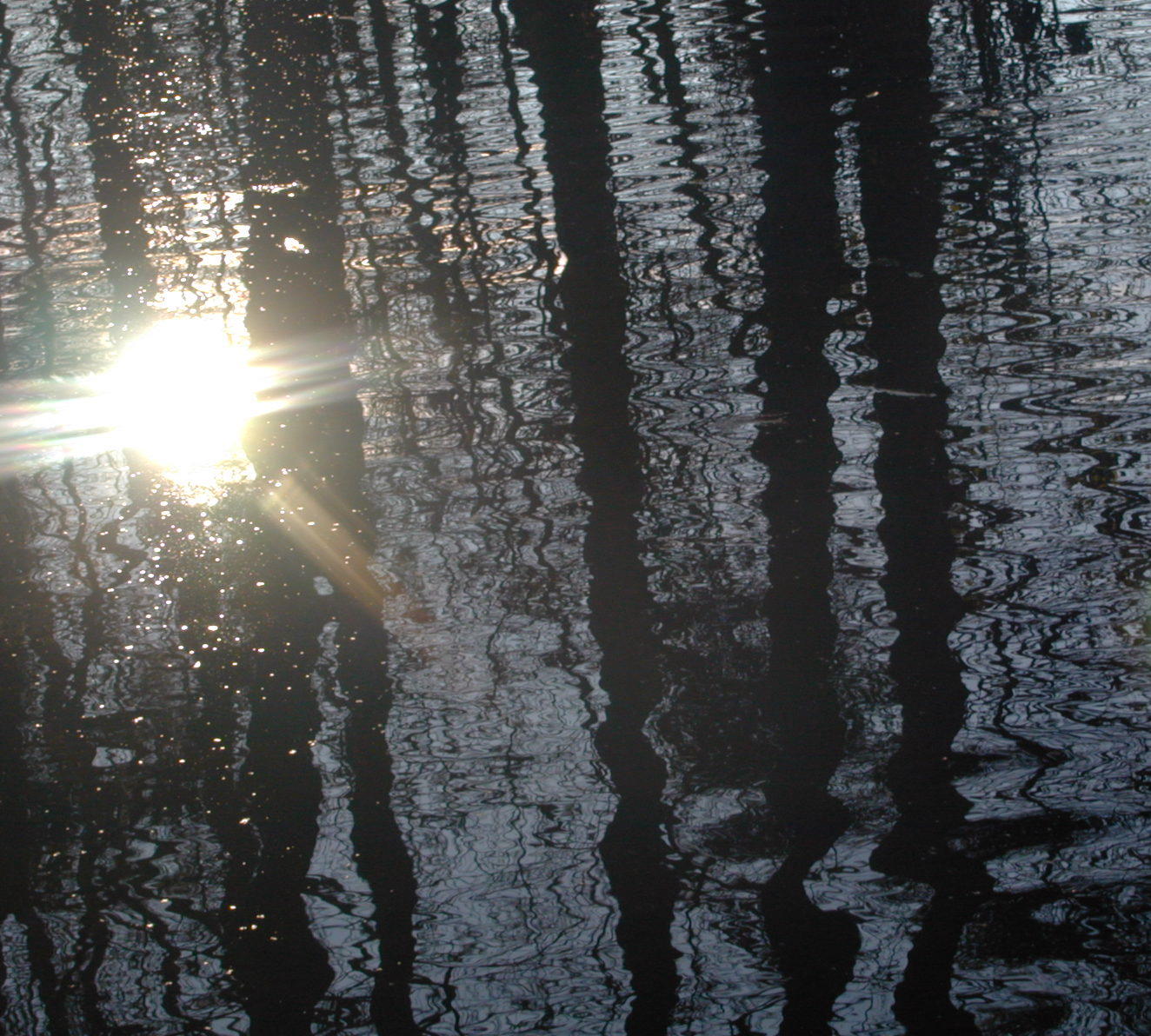 Wallpapers Nature Water - Reflection Reflets