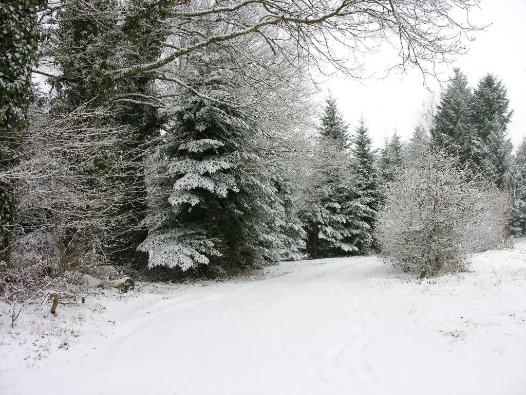 Fonds d'cran Nature Saisons - Hiver 