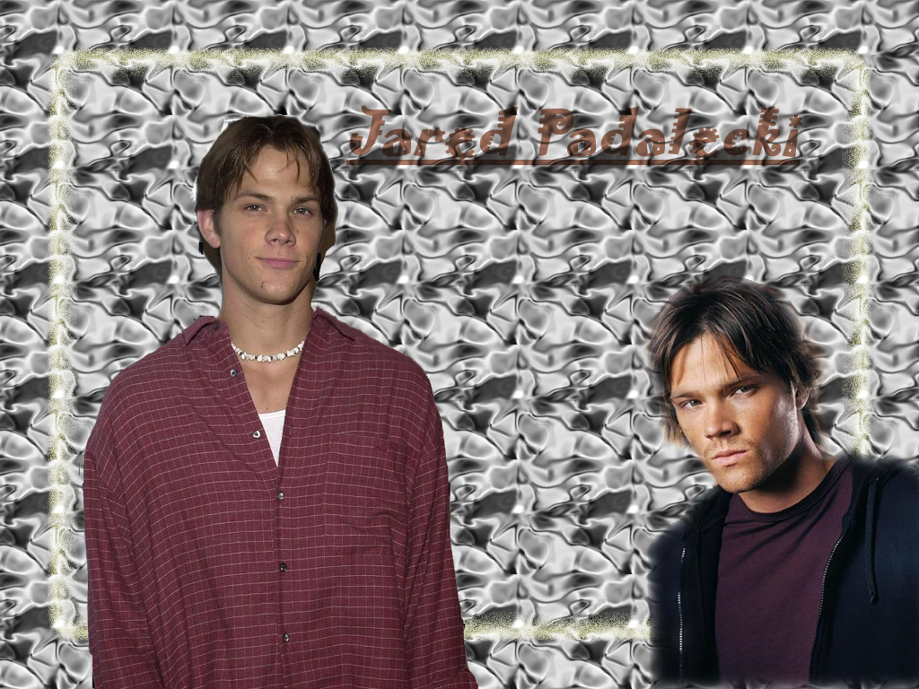 Fonds d'cran Clbrits Homme Jared Padalecki Jared Pada.