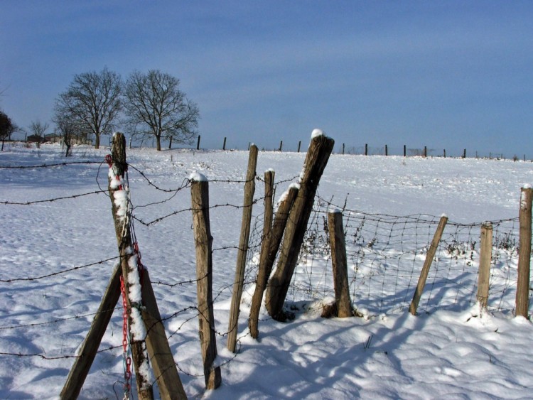 Wallpapers Nature Saisons - Winter Saison d'hiver