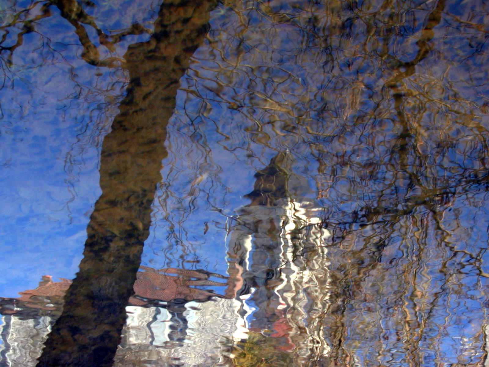 Wallpapers Nature Water - Reflection Reflets