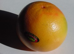 Fonds d'cran Nature pomelos