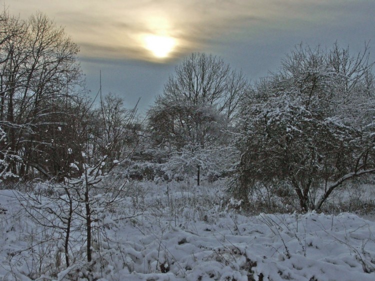 Fonds d'cran Nature Saisons - Hiver Saison d'hiver