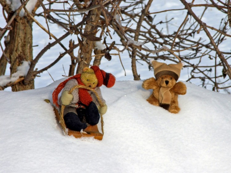 Fonds d'cran Objets Peluches Les ours s'amusent...