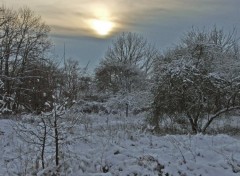 Fonds d'cran Nature Saison d'hiver