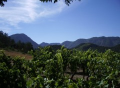 Fonds d'cran Nature Le pays de la Clairette...et ses vignes