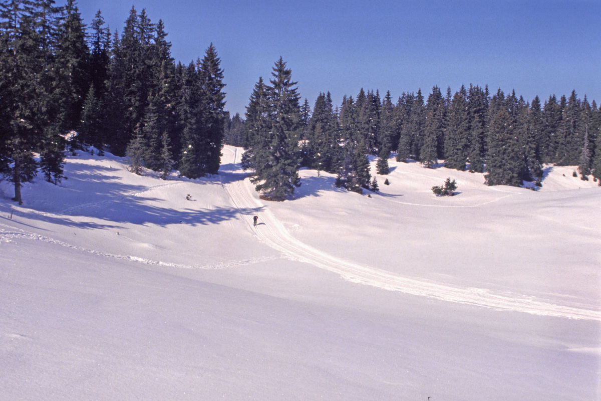 Fonds d'cran Voyages : Europe France > Franche Comt Le Jura