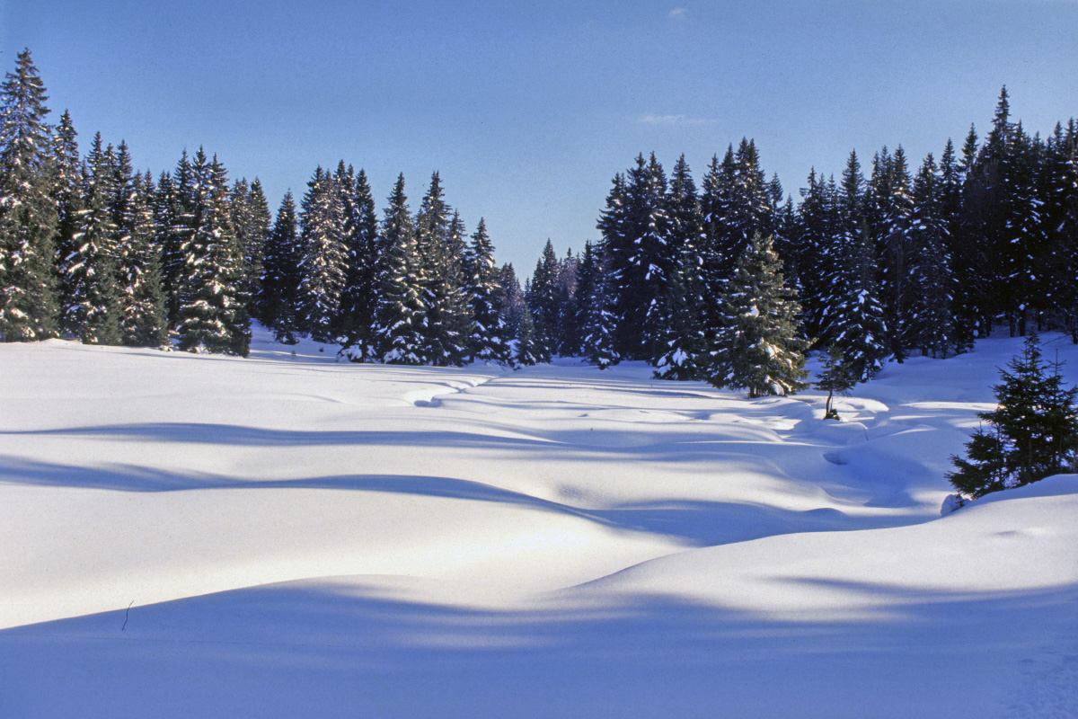 Wallpapers Trips : Europ France > Franche Comt Le Jura