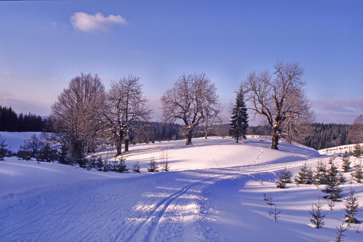 Wallpapers Trips : Europ France > Franche Comt Le Jura