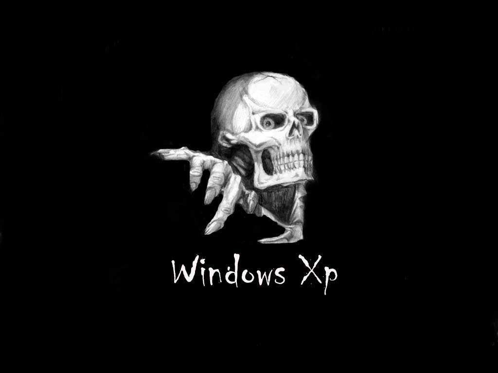 Fonds d'cran Informatique Windows XP Skull xp