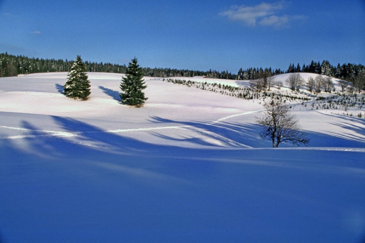 Fonds d'cran Voyages : Europe France > Franche Comt Le Jura