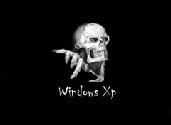 Fonds d'cran Informatique Skull xp