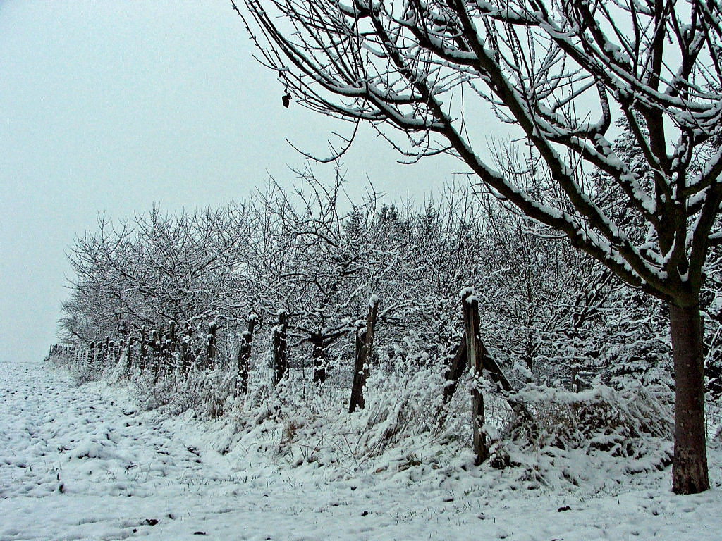 Fonds d'cran Nature Saisons - Hiver Saison d'hiver