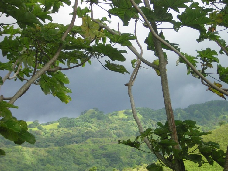 Fonds d'cran Nature Ciel - Nuages L'orage approche