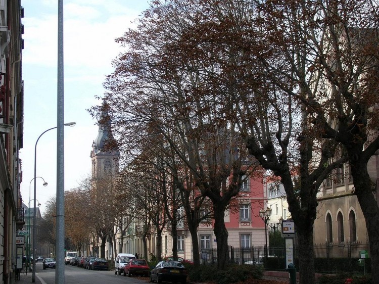 Fonds d'cran Voyages : Europe France > Alsace glise Saint-Fridolin