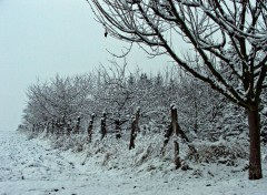 Fonds d'cran Nature Saison d'hiver