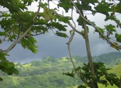 Fonds d'cran Nature L'orage approche