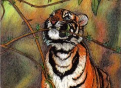 Fonds d'cran Art - Crayon Tigre