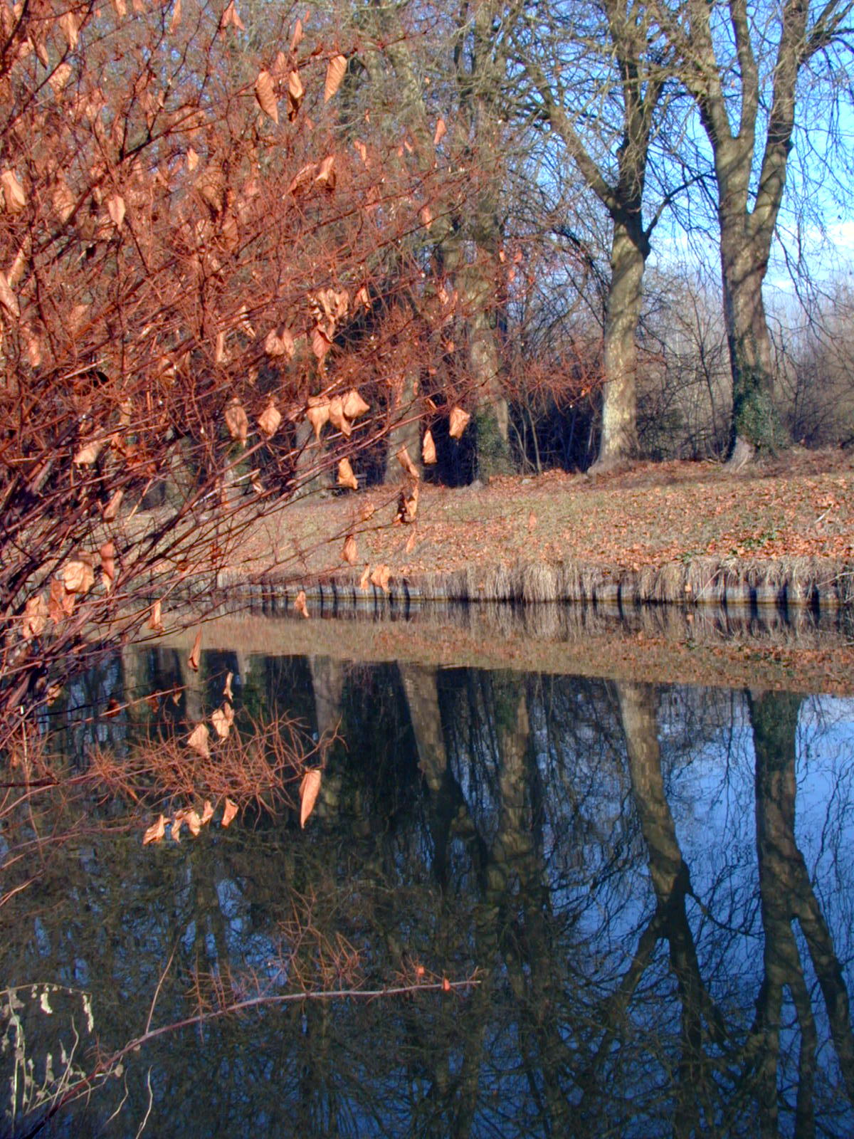 Wallpapers Nature Water - Reflection Reflets